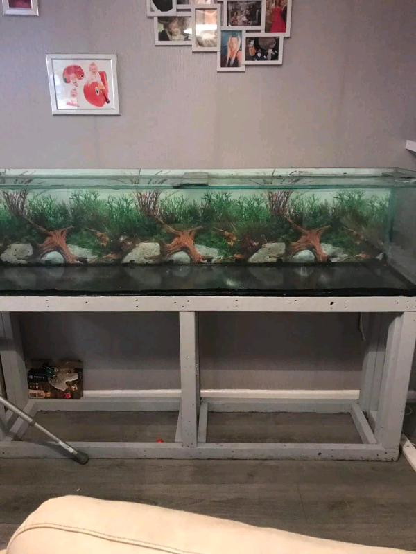 6ft fish tank stand